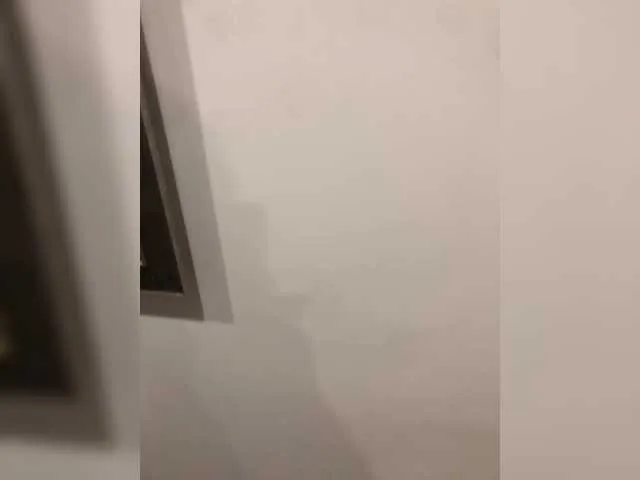 -Megalodon1- – webcam model profile photo