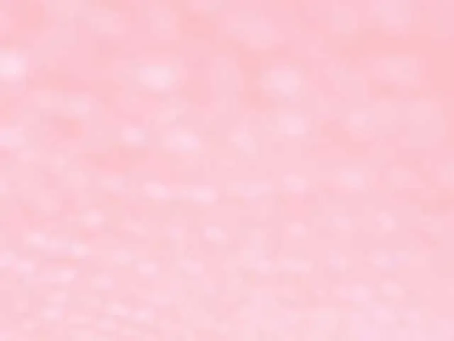 Linnea – webcam model profile photo Image 14