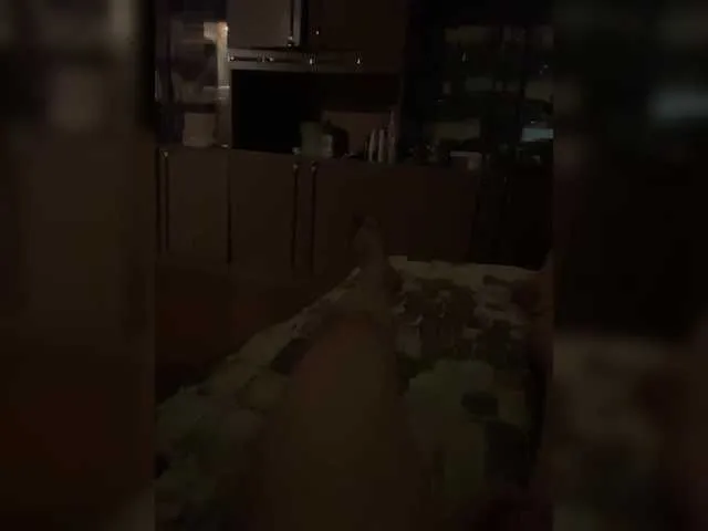 SexyCouple69 – webcam model profile photo Image 8