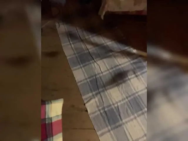 SexyCouple69 – webcam model profile photo Image 9