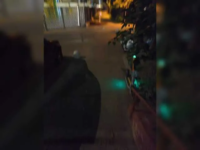 Anita-vega – webcam model profile photo Image 3