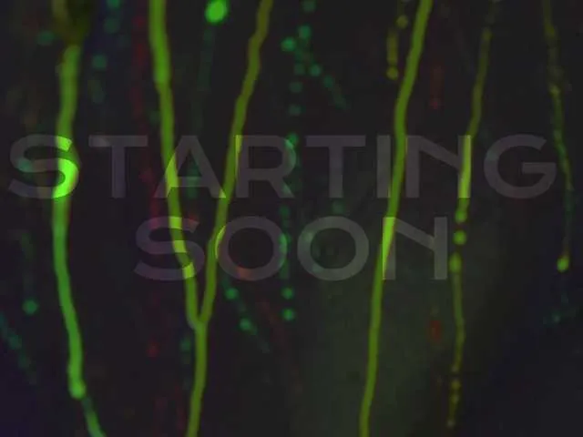 hat_on – webcam model profile photo Image 5