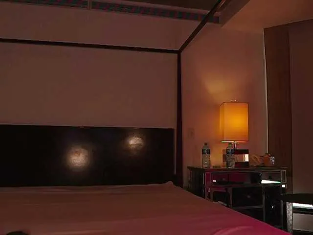 AlexisGrays – webcam model profile photo Image 15