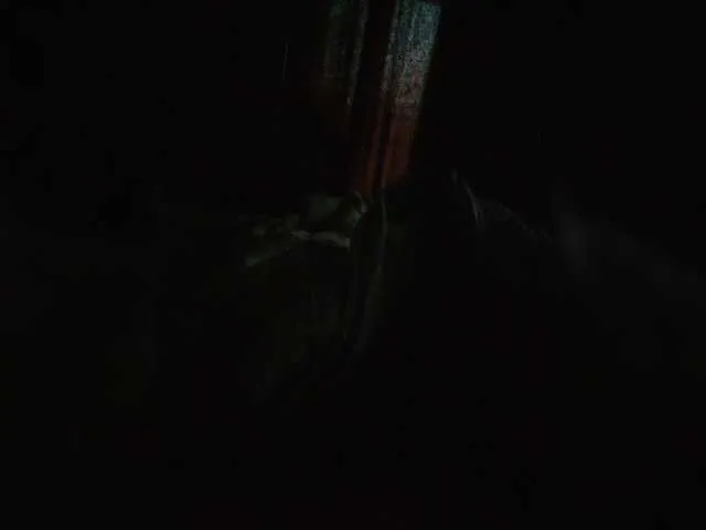 yueyue2003 – webcam model profile photo Image 9