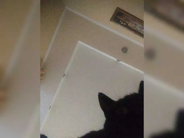 selvalentinex – webcam model profile photo Image 18