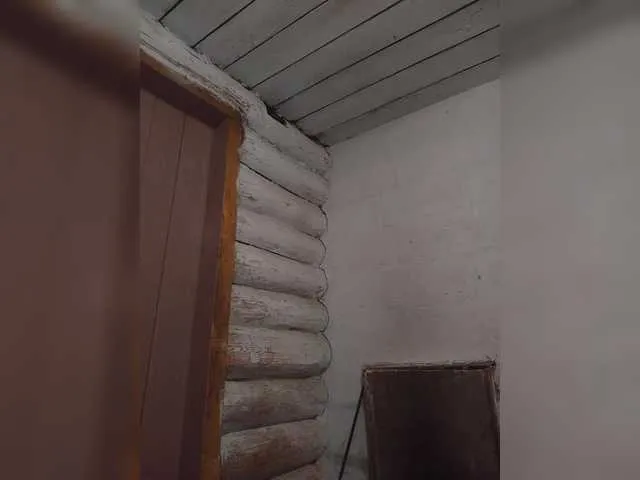 dirtypub – webcam model profile photo Image 4