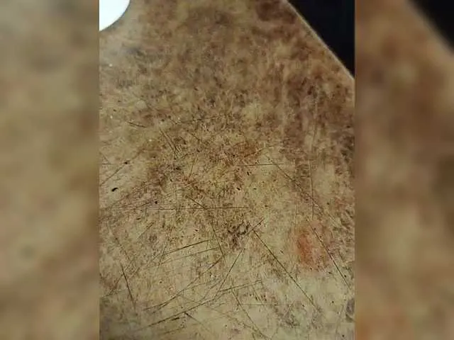 andreita_trujillos – webcam model profile photo Image 6