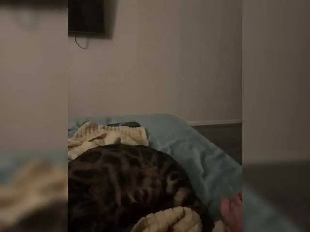 QUEEN-KING – webcam model profile photo