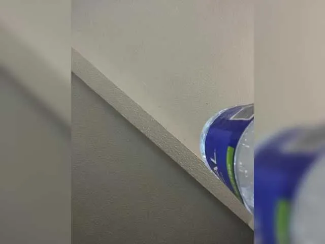 bambi_lu – webcam model profile photo Image 5