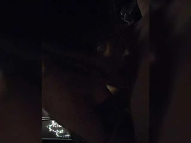 miaandmolly_ – webcam model profile photo Image 2