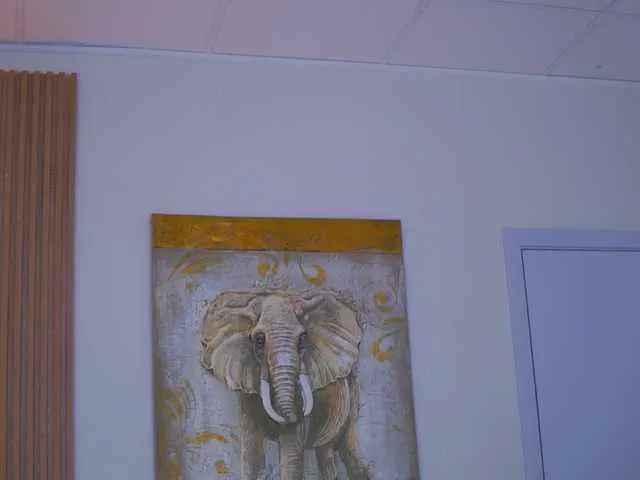 badwebcamgirl – webcam model profile photo Image 10