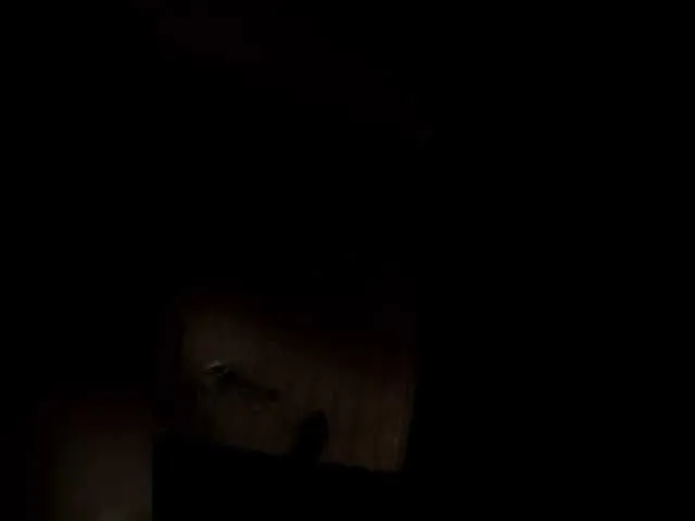 dirtypub – webcam model profile photo Image 3