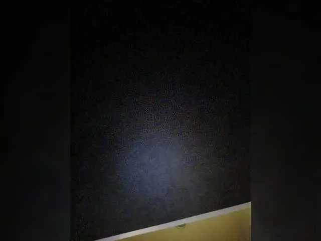 elisonni – webcam model profile photo Image 16