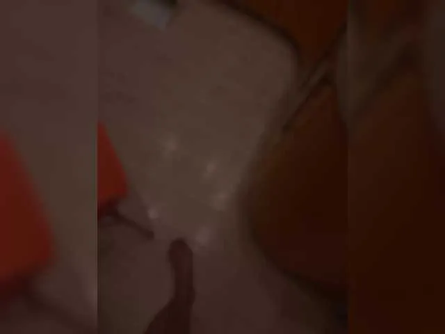 XKotikiX Image 17