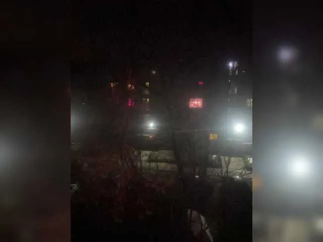 anaids_dam – webcam model profile photo Image 4