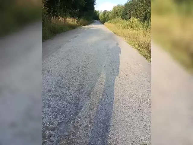 anaids_dam – webcam model profile photo Image 8