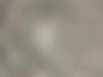 23bullsboss – webcam model profile photo