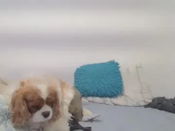 myke_xxx – webcam model profile photo Image 12