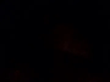 Taanni – webcam model profile photo Image 9