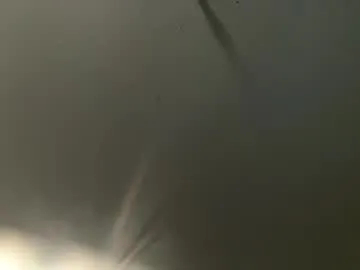 Keep_us_wild – webcam model profile photo Image 5