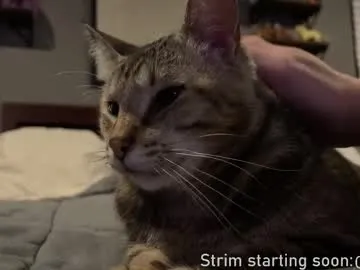 bambi_lu – webcam model profile photo Image 11