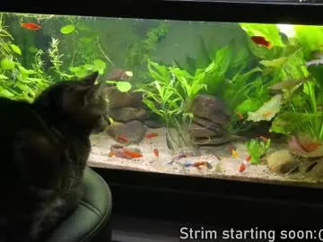 bambi_lu – webcam model profile photo Image 14