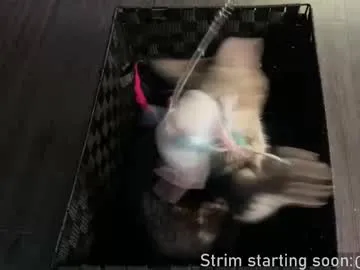 bambi_lu – webcam model profile photo Image 3