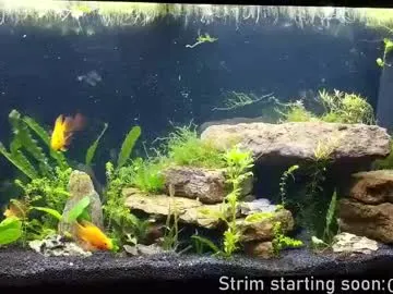 bambi_lu – webcam model profile photo Image 5