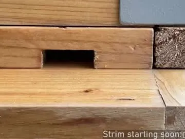 bambi_lu – webcam model profile photo Image 7