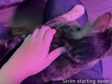 bambi_lu – webcam model profile photo Image 9