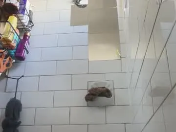 lissa_night – webcam model profile photo Image 8