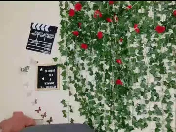 shellyboom – webcam model profile photo Image 6