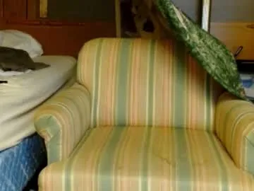 octavarium211 – webcam model profile photo Image 17