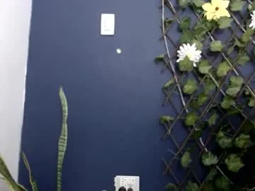 Crazy-lady – webcam model profile photo Image 19