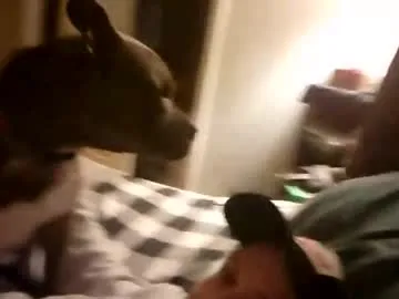 Allla – webcam model profile photo Image 17