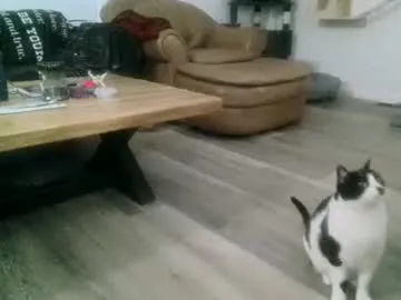 barbiehumpxxx – webcam model profile photo Image 7