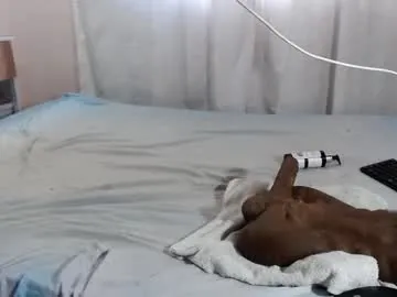 Alexxpussy – webcam model profile photo Image 3