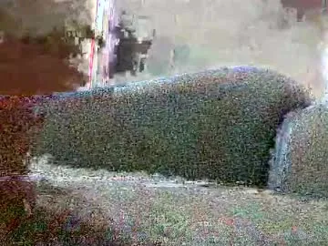 moonn_fox – webcam model profile photo Image 15