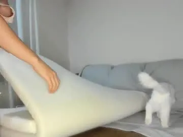 EvieEvans – webcam model profile photo Image 17