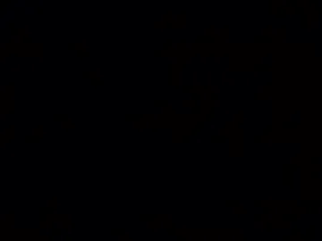 jaimescook – webcam model profile photo