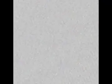 gerridae – webcam model profile photo Image 10