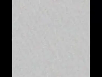 gerridae – webcam model profile photo Image 6