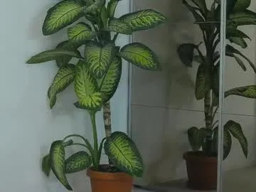 miyabe – webcam model profile photo Image 2