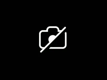 kittykat3535sx – webcam model profile photo