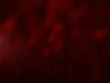 brunetteofyourdreams – webcam model profile photo Image 14