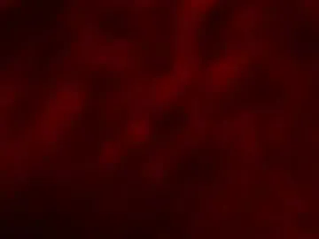 brunetteofyourdreams – webcam model profile photo Image 15