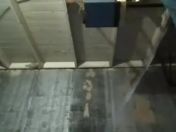 Mr_Genghis_Khan – webcam model profile photo Image 16