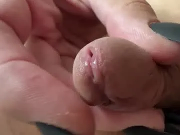 Anita-vega – webcam model profile photo Image 13