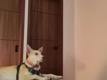 lissa_night – webcam model profile photo Image 14