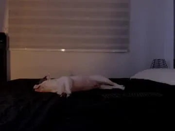 sophiadumont – webcam model profile photo Image 14